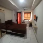 Paps Property